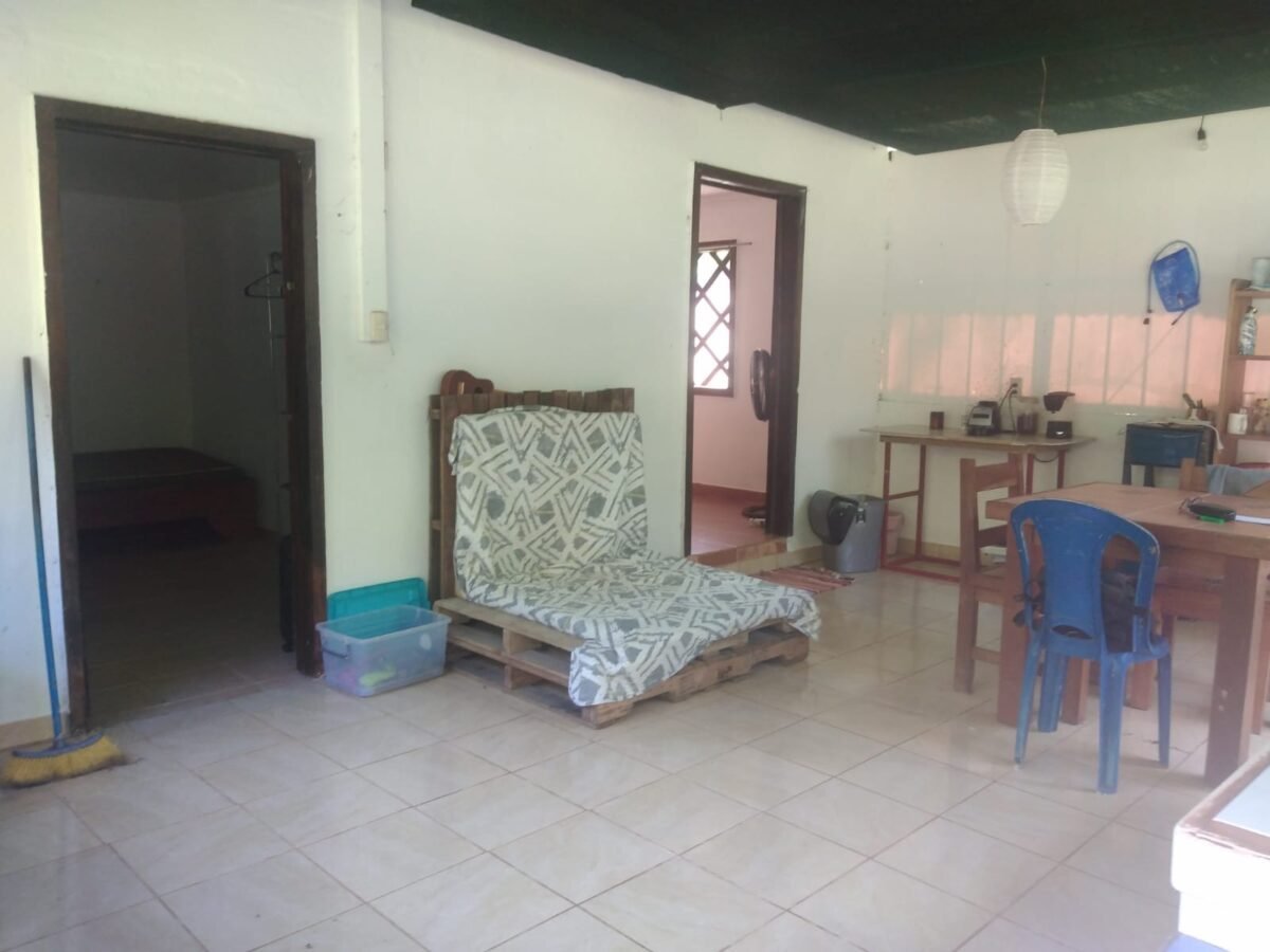 22cce771-04f2-4ca7-972c-8c49678c1084