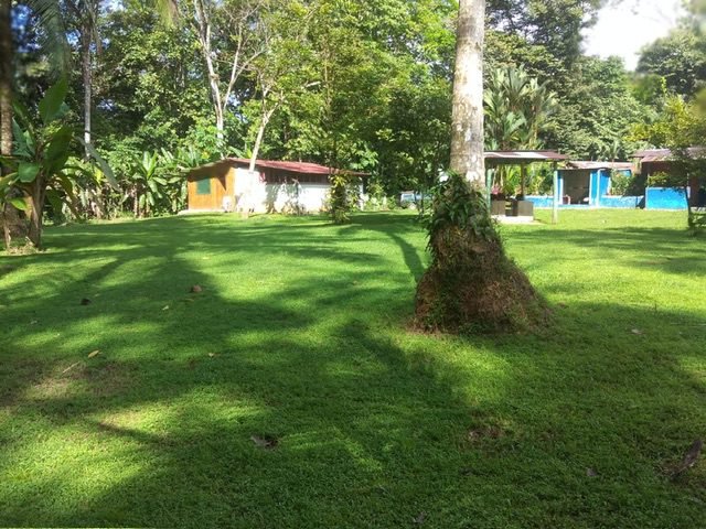 773b0e0b-b6d2-42fc-a582-3db56abaf1a5