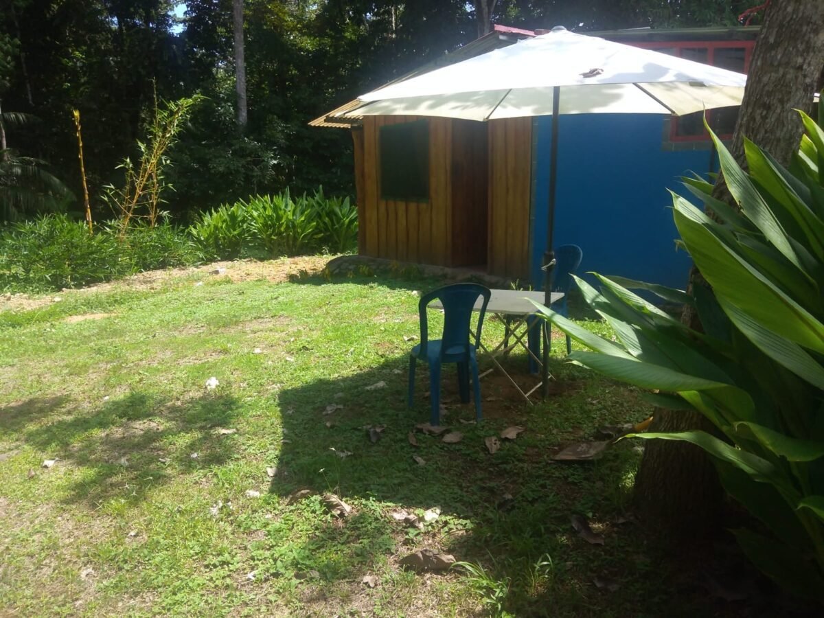 78c9a21c-f8cc-4567-a108-26b49e198d3d