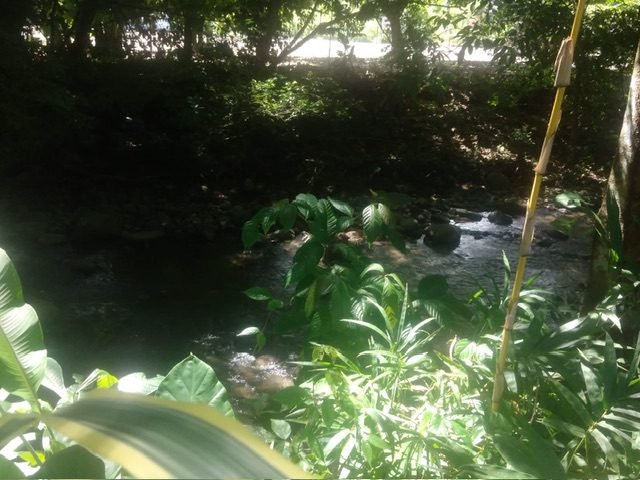 7aeb8626-bc9b-4a35-830d-87f1af8f5c87