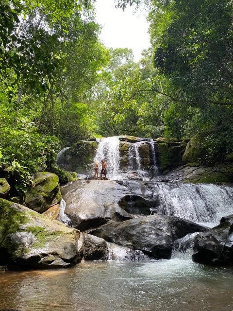 d1b9fe85-c7b4-4b4f-9dc2-83aa3d1d16a6